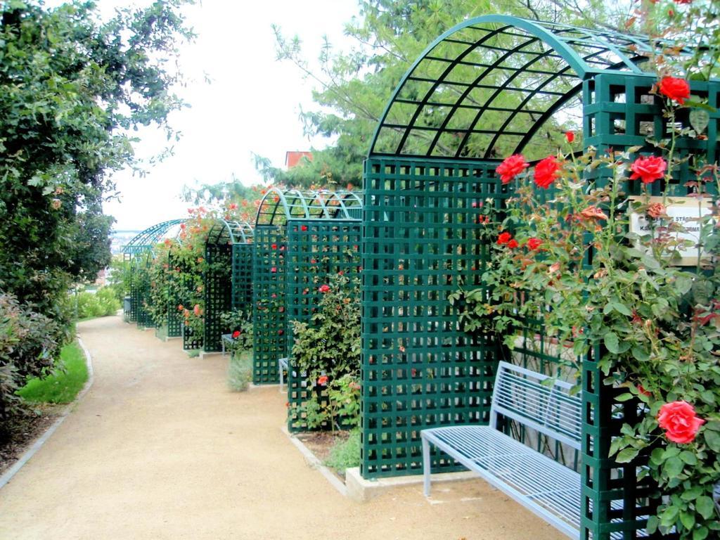 Modern Riegrovy Sady Apartmán *